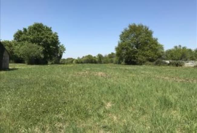 Terrain - Terrain à bâtir Amélie-les-Bains-Palalda (66110) à Amélie-les-Bains-Palalda (66), prix 53 000 €