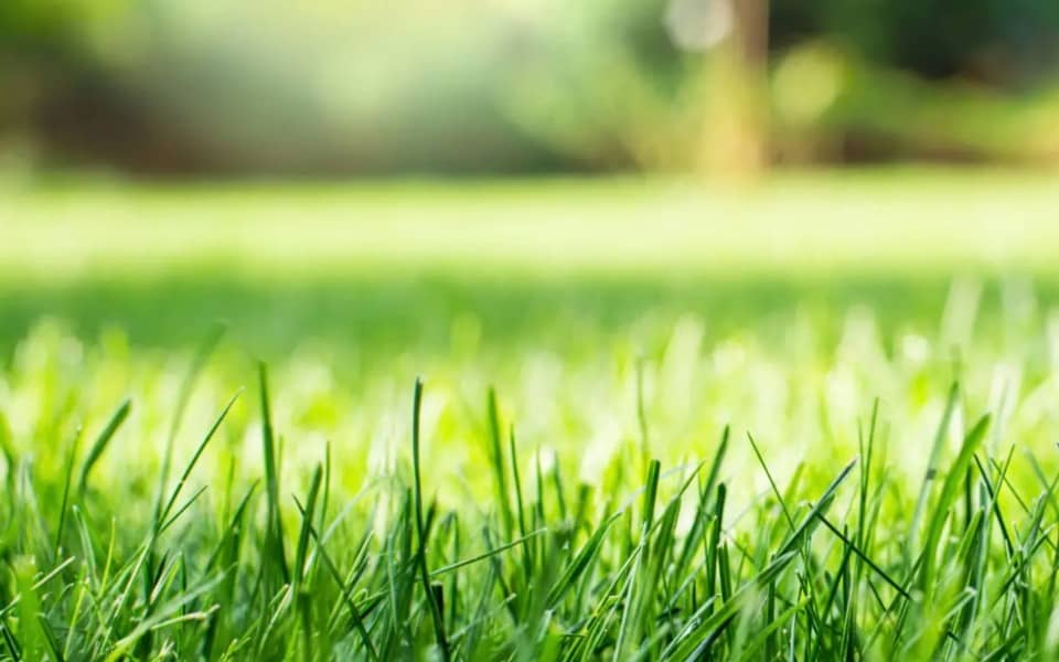Terrain - Terrain à bâtir  () à Fontenay-sous-Bois (94), prix 312 000 €