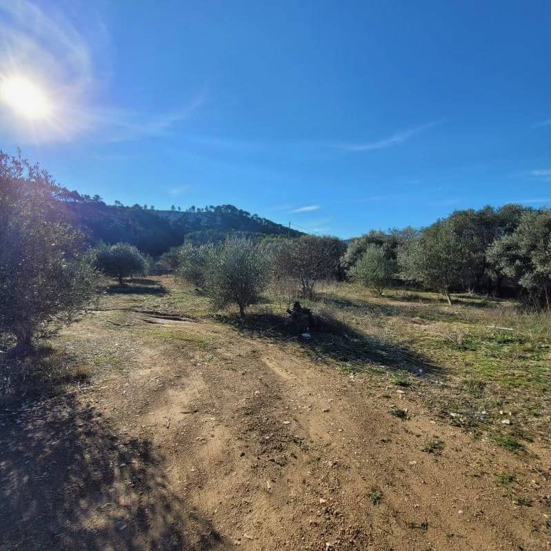 Terrain - Terrain à bâtir Cuges-les-Pins (13780) à Cuges-les-Pins, prix 320 000 €