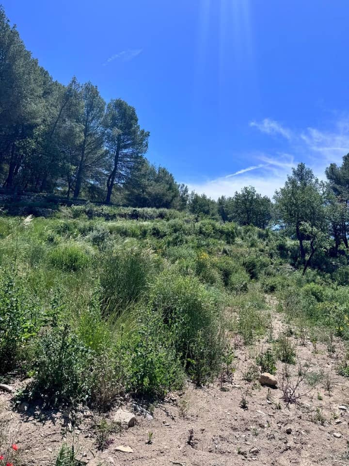 Terrain - Terrain à bâtir La Bouilladisse (13720) à La Bouilladisse (13), prix 323 000 €