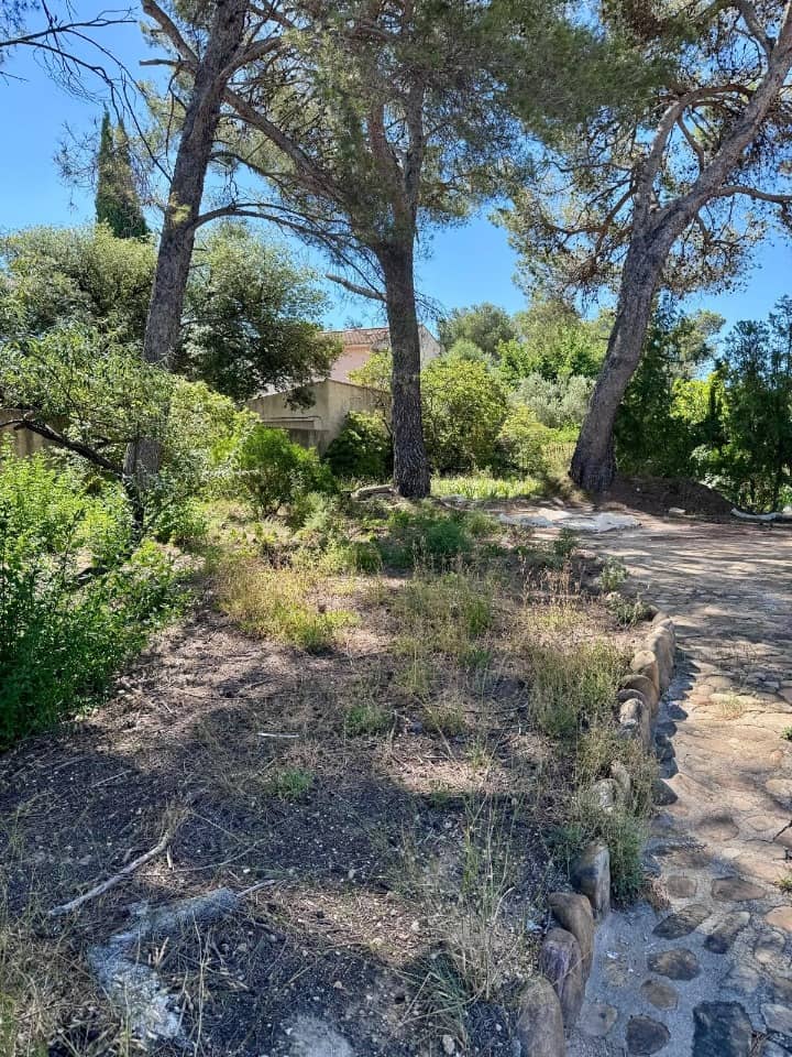 Terrain - Terrain à bâtir Saint-Mitre-les-Remparts (13920) à Saint-Mitre-les-Remparts (13), prix 215 000 €