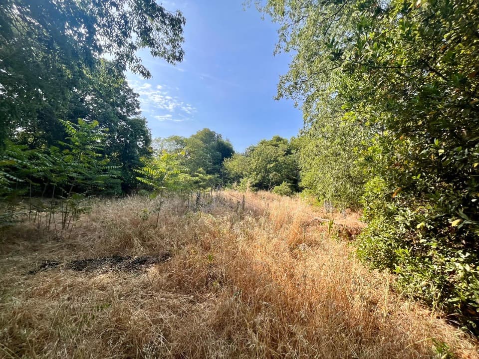 Terrain - Terrain à bâtir Saint-Mitre-les-Remparts (13920) à Saint-Mitre-les-Remparts (13), prix 289 900 €