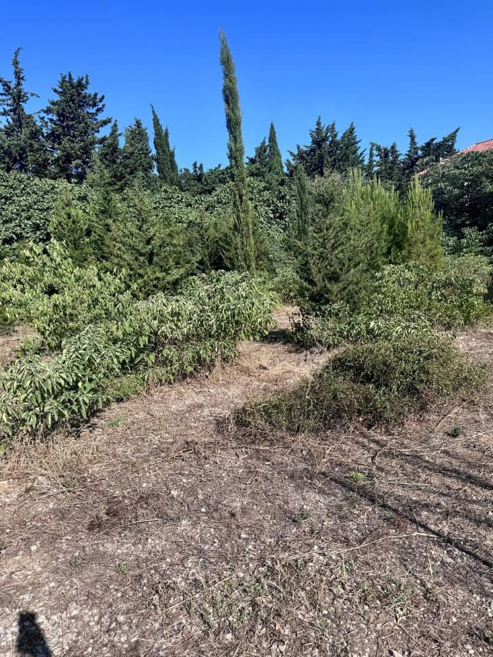 Terrain - Terrain à bâtir Châteauneuf-les-Martigues (13220) à Châteauneuf-les-Martigues (13), prix 273 000 €