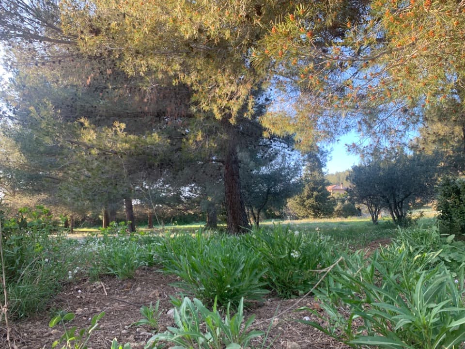 Terrain - Terrain à bâtir Saint-Chamas (13250) à Saint-Chamas (13), prix 250 000 €