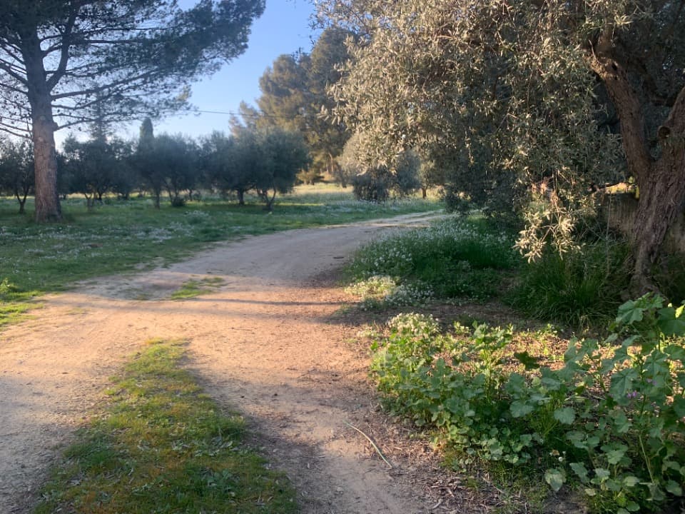 Terrain - Terrain à bâtir Saint-Chamas (13250) à Saint-Chamas (13), prix 275 000 €