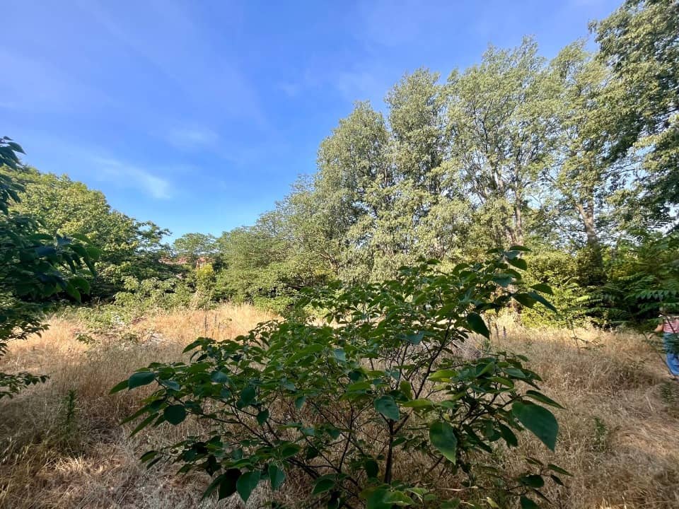 Terrain - Terrain à bâtir Salon-de-Provence (13300) à Salon-de-Provence (13), prix 159 900 €