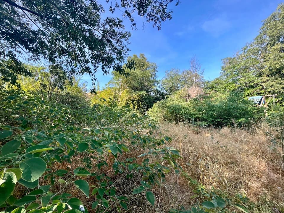 Terrain - Terrain à bâtir Salon-de-Provence (13300) à Salon-de-Provence (13), prix 189 900 €