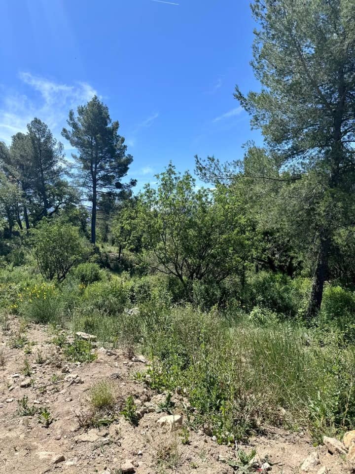 Terrain - Terrain à bâtir La Bouilladisse (13720) à La Bouilladisse, prix 288 000 €