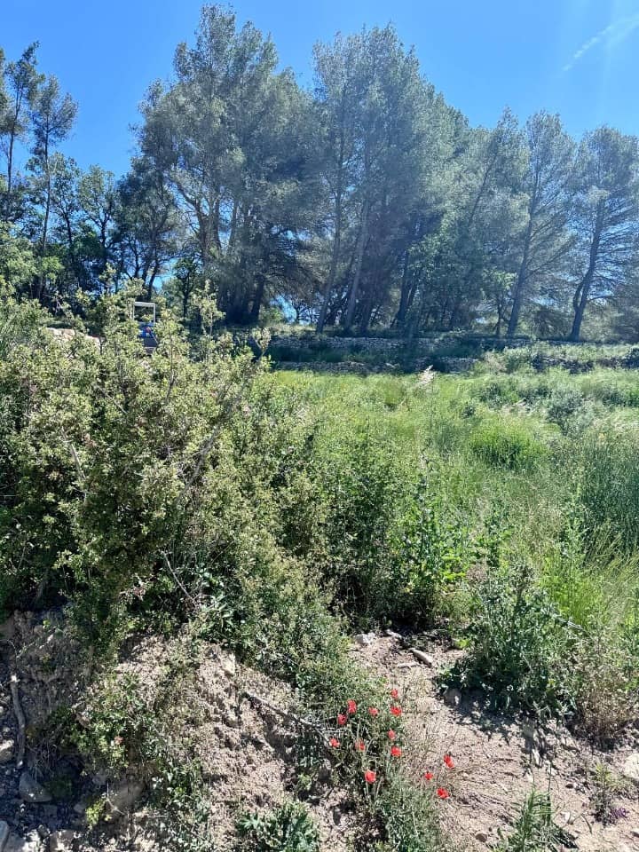 Terrain - Terrain à bâtir La Bouilladisse (13720) à La Bouilladisse (13), prix 323 000 €