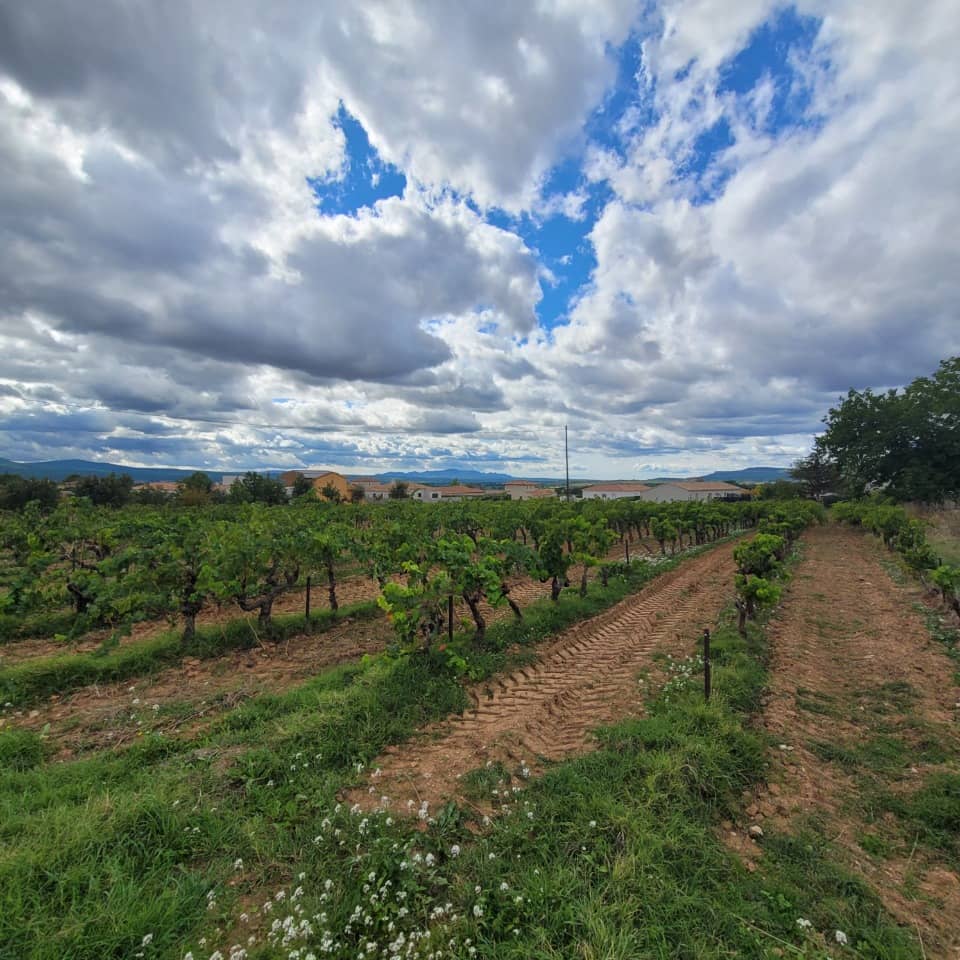 Terrain - Terrain à bâtir () à Pourrières, prix 224 900 €