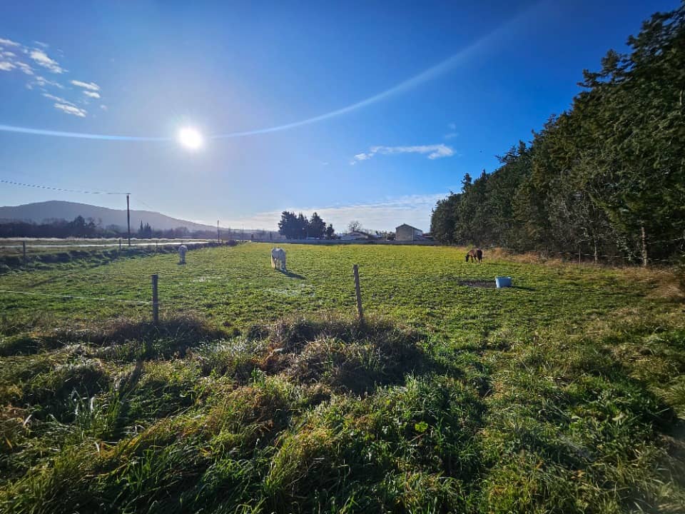 Terrain - Terrain à bâtir () à Mallemort, prix 154 000 €