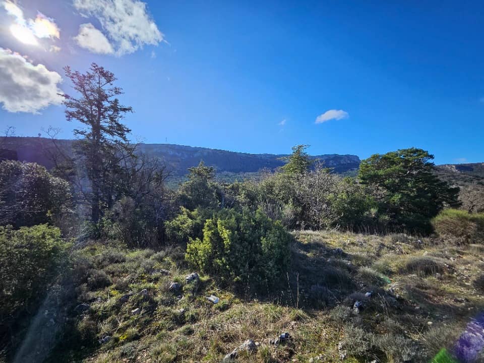 Terrain - Terrain à bâtir Plan-d'Aups-Sainte-Baume (83640) à Plan-d'Aups-Sainte-Baume, prix 175 000 €