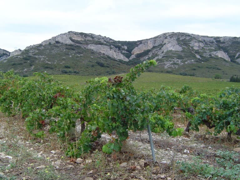 Terrain - Terrain à bâtir () à Sénas (13), prix 159 900 €