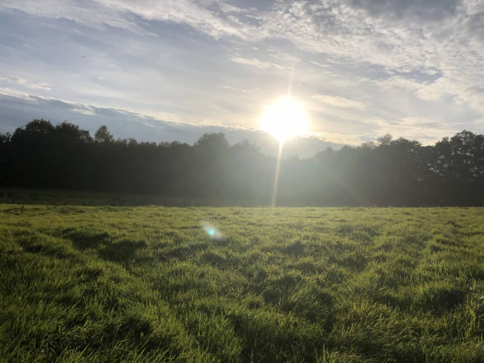 Terrain - Terrain à bâtir () à Cuges-les-Pins (13), prix 235 000 €