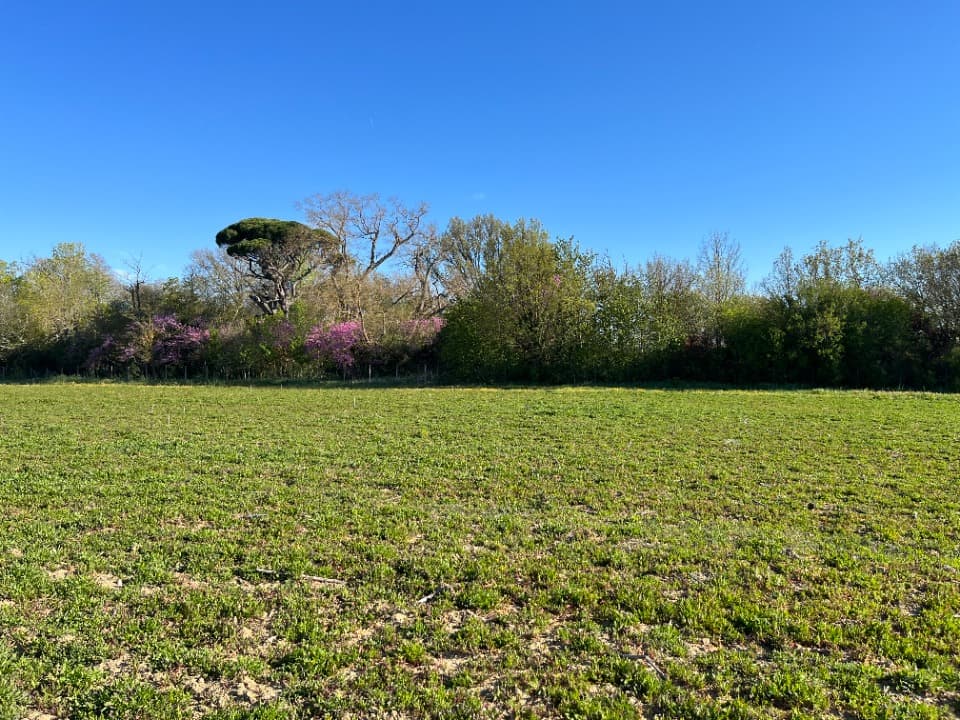 Terrain - Terrain à bâtir Labastide-d'Anjou (11320) à Labastide-d'Anjou (11), prix 66 840 €