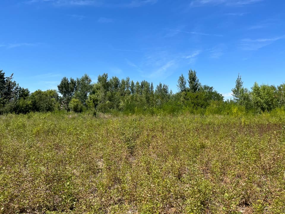 Terrain - Terrain à bâtir Castelnaudary (11400) à Castelnaudary (11), prix 69 500 €