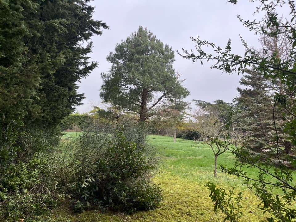 Terrain - Terrain à bâtir Villeneuve-la-Comptal (11400) à Villeneuve-la-Comptal (11), prix 56 000 €