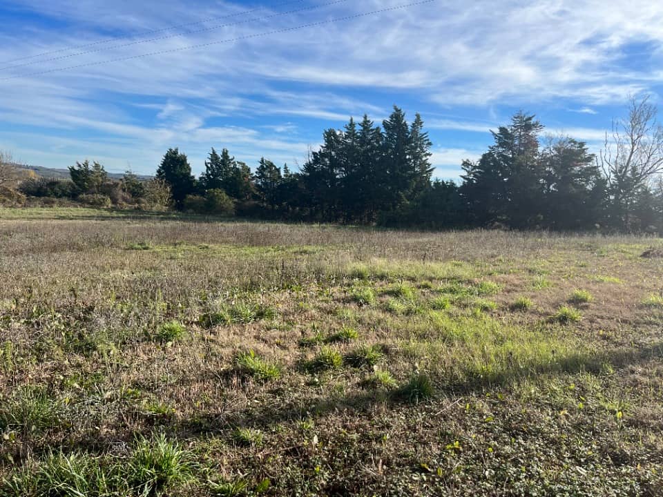 Terrain - Terrain à bâtir Villefranche-de-Lauragais (31290) à Villefranche-de-Lauragais (31), prix 77 500 €