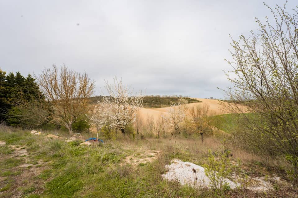 Terrain - Terrain à bâtir Avignonet-Lauragais (31290) à Avignonet-Lauragais (31), prix 79 000 €