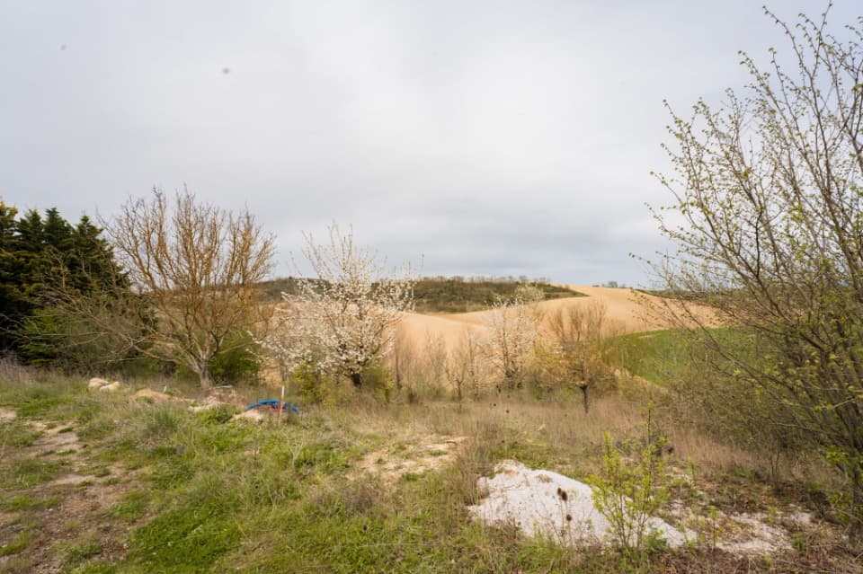 Terrain - Terrain à bâtir Avignonet-Lauragais (31290) à Avignonet-Lauragais (31), prix 79 000 €