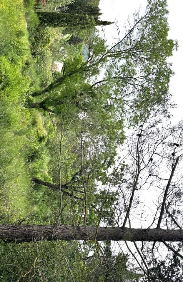 Terrain - Terrain à bâtir Aix-en-Provence (13100) à Aix-en-Provence (13), prix 480 000 €