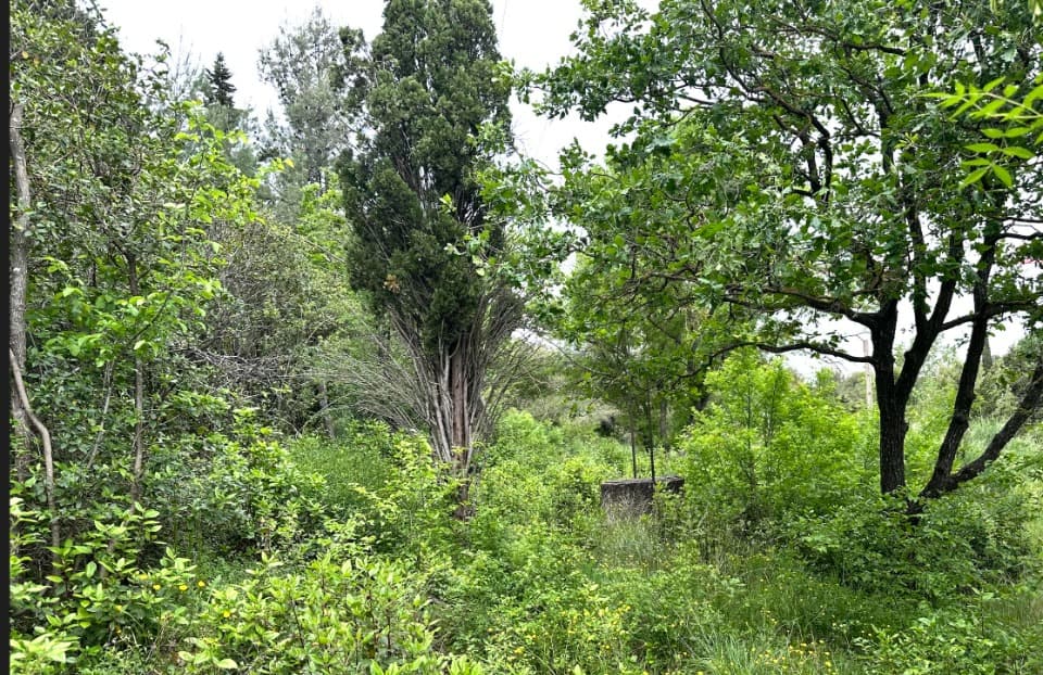Terrain - Terrain à bâtir () à Aix-en-Provence (13), prix 460 000 €