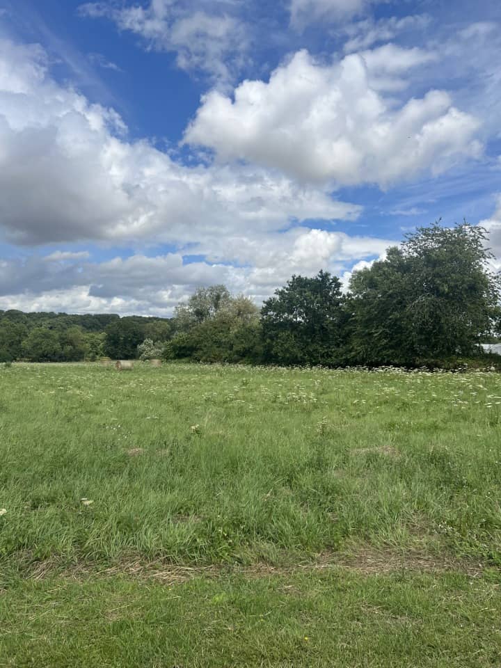 Terrain - Terrain à bâtir Pecqueuse (91470) à Pecqueuse, prix 153 000 €