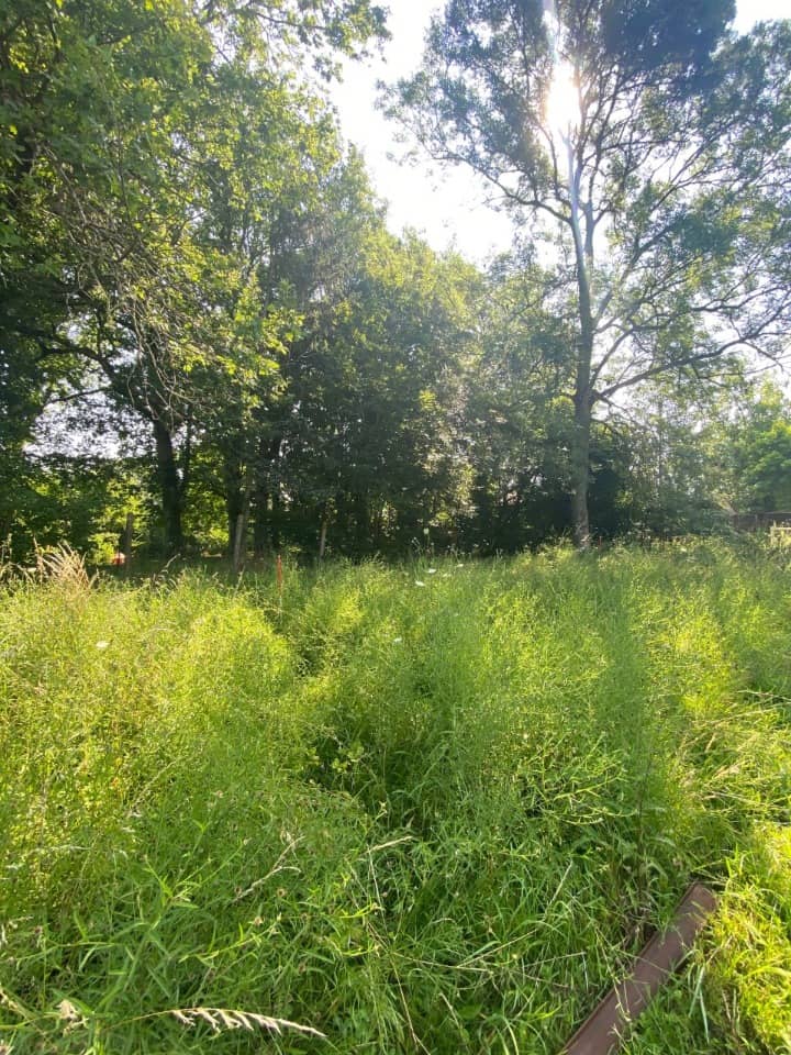 Terrain - Terrain à bâtir Villemoisson-sur-Orge (91360) à Villemoisson-sur-Orge (91), prix 249 000 €