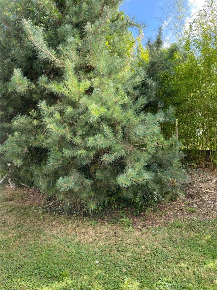 Terrain - Terrain à bâtir Ballancourt-sur-Essonne (91610) à Ballancourt-sur-Essonne (91), prix 165 000 €