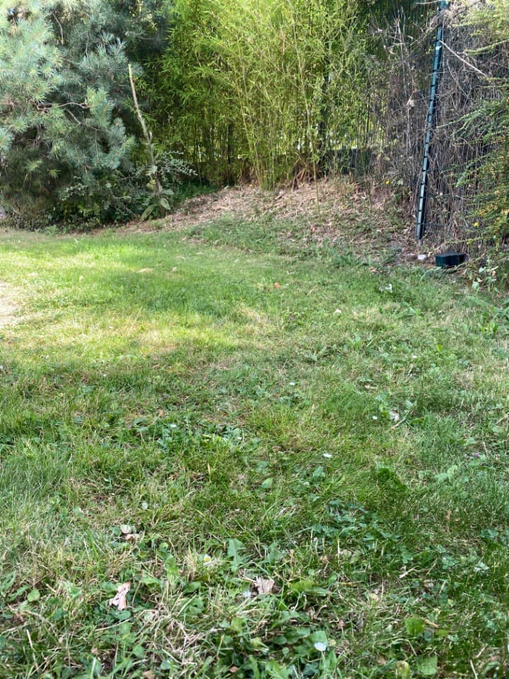 Terrain - Terrain à bâtir Antony (92160) à Antony (92), prix 185 000 €