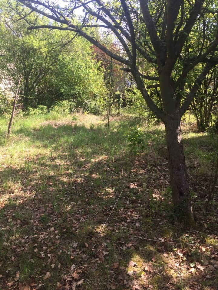 Terrain - Terrain à bâtir Saulx-les-Chartreux (91160) à Saulx-les-Chartreux (91), prix 195 000 €