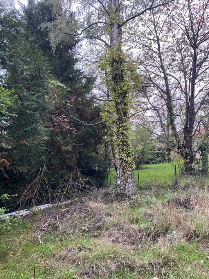 Terrain - Terrain à bâtir Forges-les-Bains (91470) à Forges-les-Bains (91), prix 105 000 €