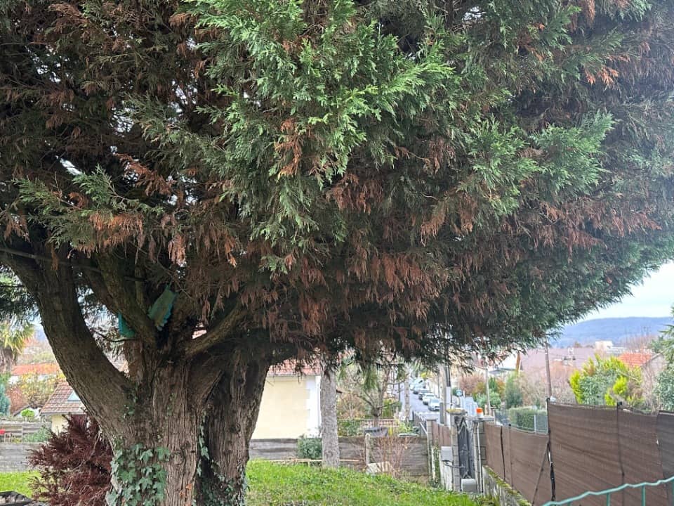 Terrain - Terrain à bâtir Palaiseau (91120) à Palaiseau (91), prix 325 000 €