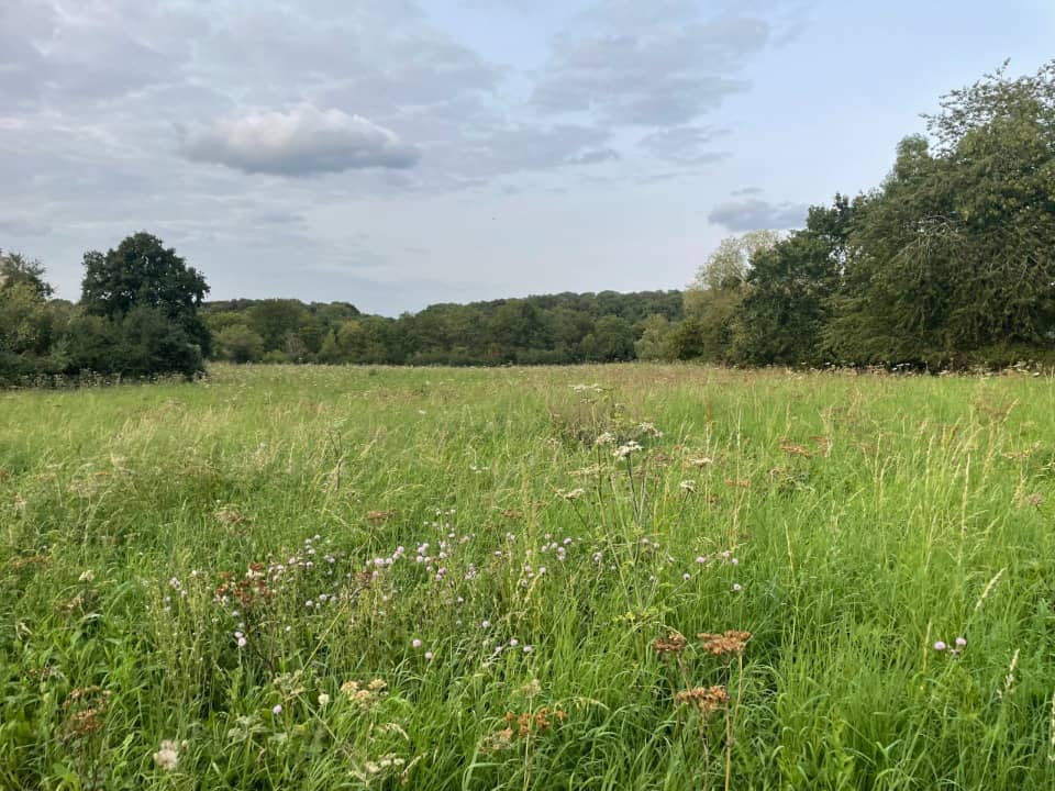 Terrain - Terrain à bâtir Limours (91470) à Limours (91), prix 183 000 €