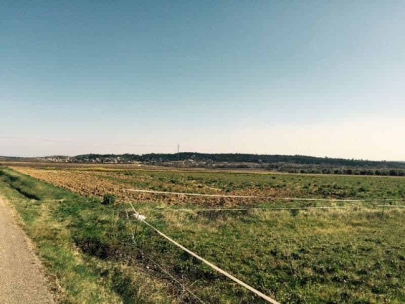 Terrain - Terrain à bâtir () à Brissac (34), prix 180 900 €