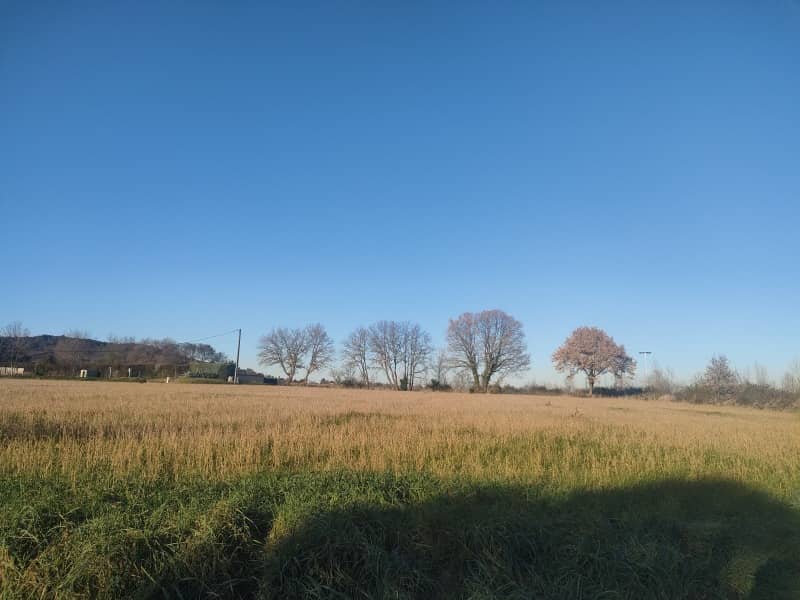 Terrain - Terrain à bâtir () à Ribaute-les-Tavernes (30), prix 79 900 €