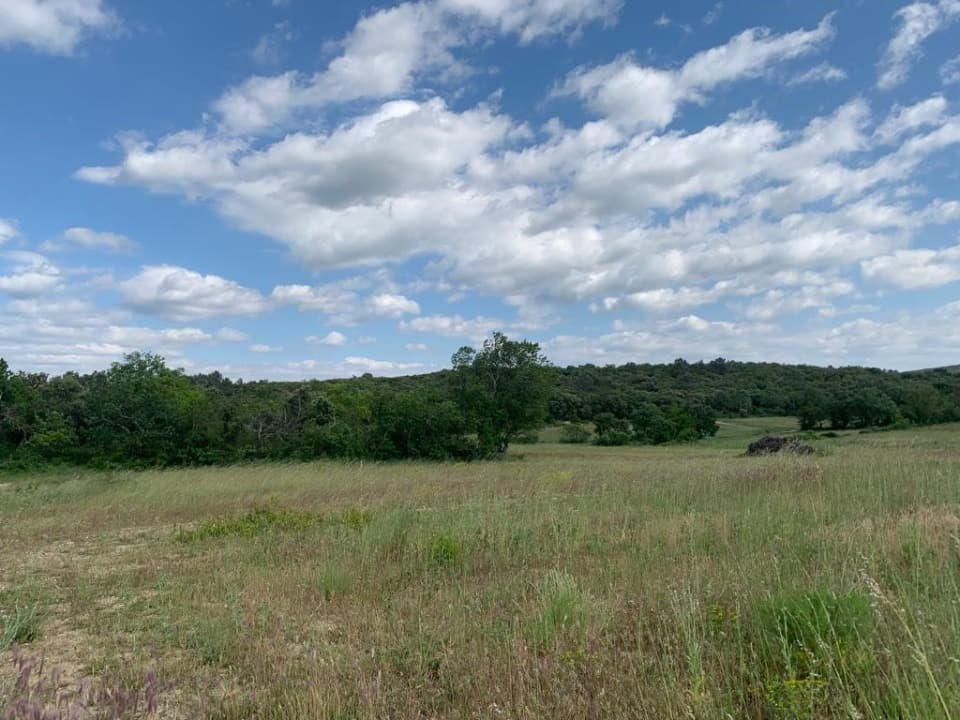 Terrain - Terrain à bâtir () à Saint-Gély-du-Fesc (34), prix 329 000 €
