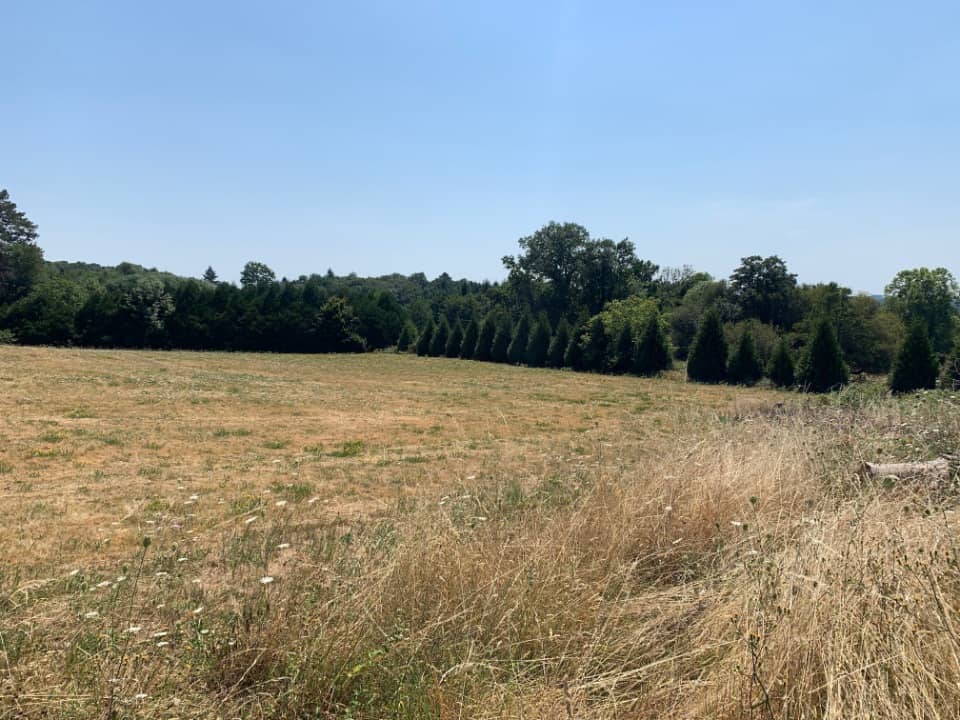 Terrain - Terrain à bâtir Saint-Germain-les-Vergnes (19330) à Saint-Germain-les-Vergnes (19), prix 45 000 €