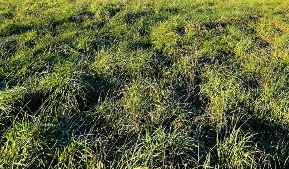 Terrain - Terrain à bâtir Seilhac (19700) à Seilhac (19), prix 41 000 €