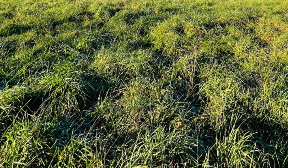 Terrain - Terrain à bâtir Seilhac (19700) à Seilhac (19), prix 41 000 €