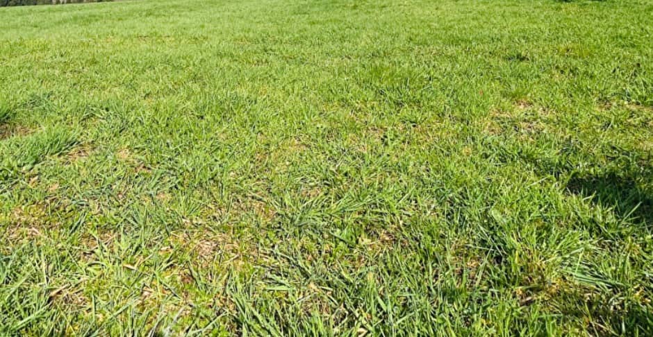 Terrain - Terrain à bâtir Uzerche (19140) à Uzerche (19), prix 24 000 €