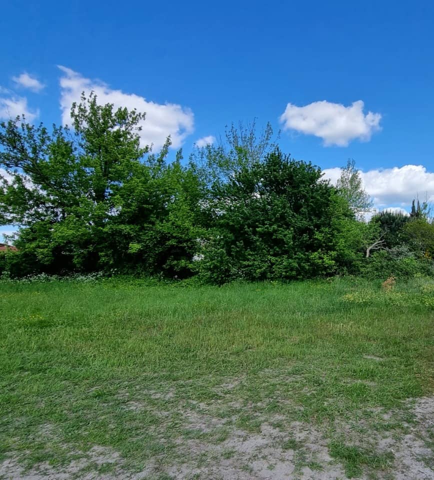 Terrain - Terrain à bâtir Blanquefort (33290) à Blanquefort, prix 208 000 €