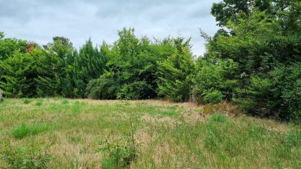Terrain - Terrain à bâtir Saint-Aubin-de-Médoc (33160) à Saint-Aubin-de-Médoc (33), prix 290 000 €