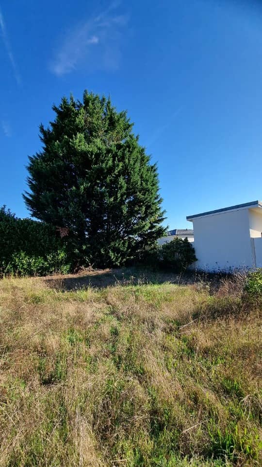 Terrain - Terrain à bâtir Saint-Jean-d'Illac (33127) à Saint-Jean-d'Illac, prix 200 000 €