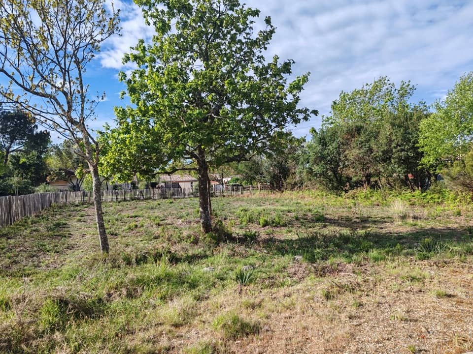 Terrain - Terrain à bâtir Hourtin (33990) à Hourtin, prix 239 000 €