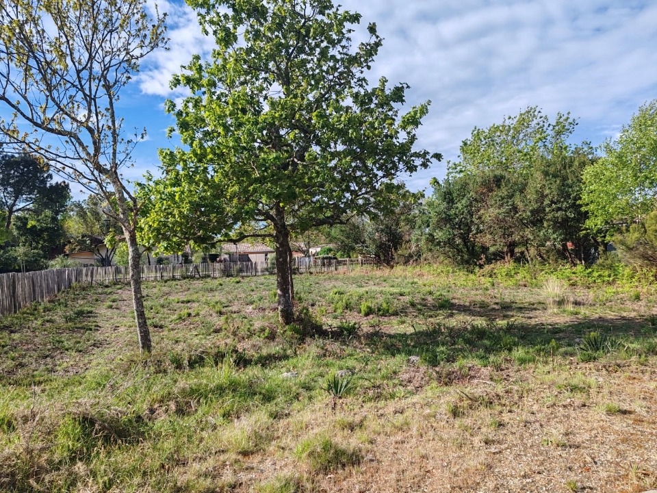 Terrain - Terrain à bâtir Hourtin (33990) à Hourtin (33), prix 239 000 €