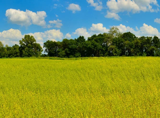 Terrain - Terrain à bâtir Blaignan-Prignac (33340) à Blaignan-Prignac (33), prix 60 858 €