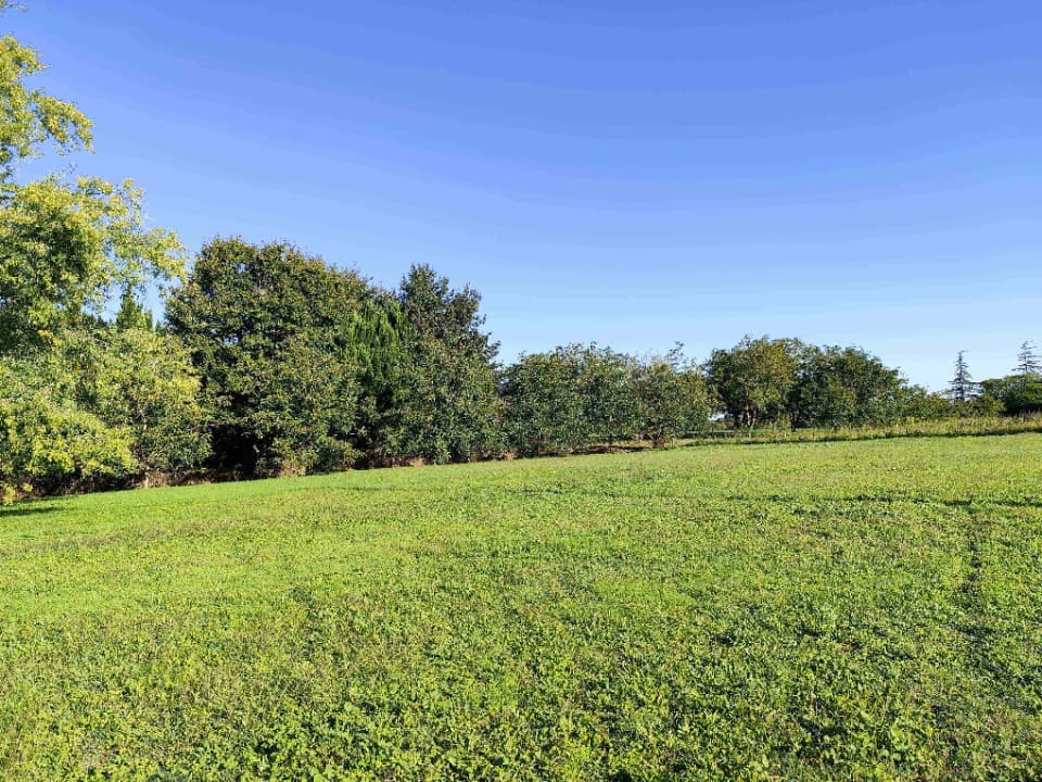 Terrain - Terrain à bâtir Gaillan-en-Médoc (33340) à Gaillan-en-Médoc (33), prix 80 000 €