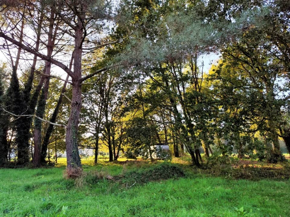 Terrain - Terrain à bâtir Lesparre-Médoc (33340) à Lesparre-Médoc, prix 64 000 €