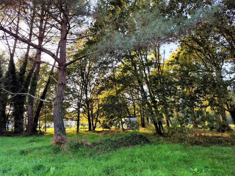 Terrain - Terrain à bâtir Lesparre-Médoc (33340) à Lesparre-Médoc (33), prix 64 000 €
